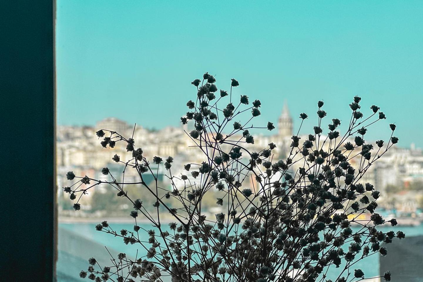 The Halic Bosphorus Hotel Istambul Extérieur photo